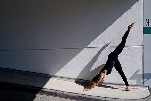 Hatha Yoga Yigini macht Hatha Yoga