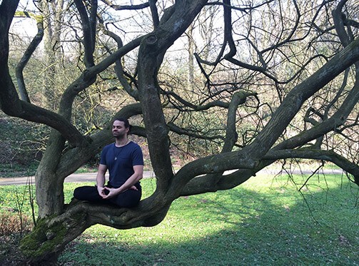 DHYANA MUDRA Mann sitzt auf einem Baum, macht Yoga und formt mit seinen Händen das Dhyana Mudra