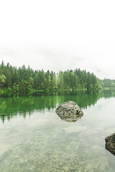 Im Urlaub Waldbaden In einem Fluss mit klarem Wasser liegt ein großer Stein, im Hintergrund sind grüne Bäume