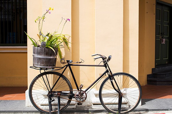 Fahrradfahren Vor einer hellen Wand steht ein altes fahrrad ohne Sattel. Auf dem Gepäckträger steht ein Blumentopf voller Pflanzen.