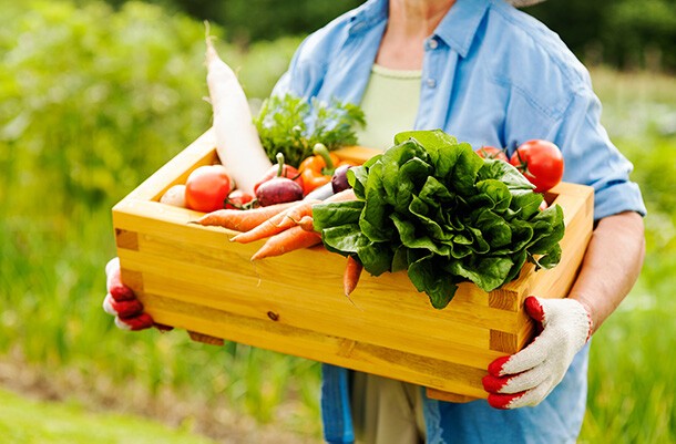 Vorteile veganer Lifestyle Eine ältere Dame hält eine Holzkiste mit verschiedenen Gemüsesorten in den Händen.