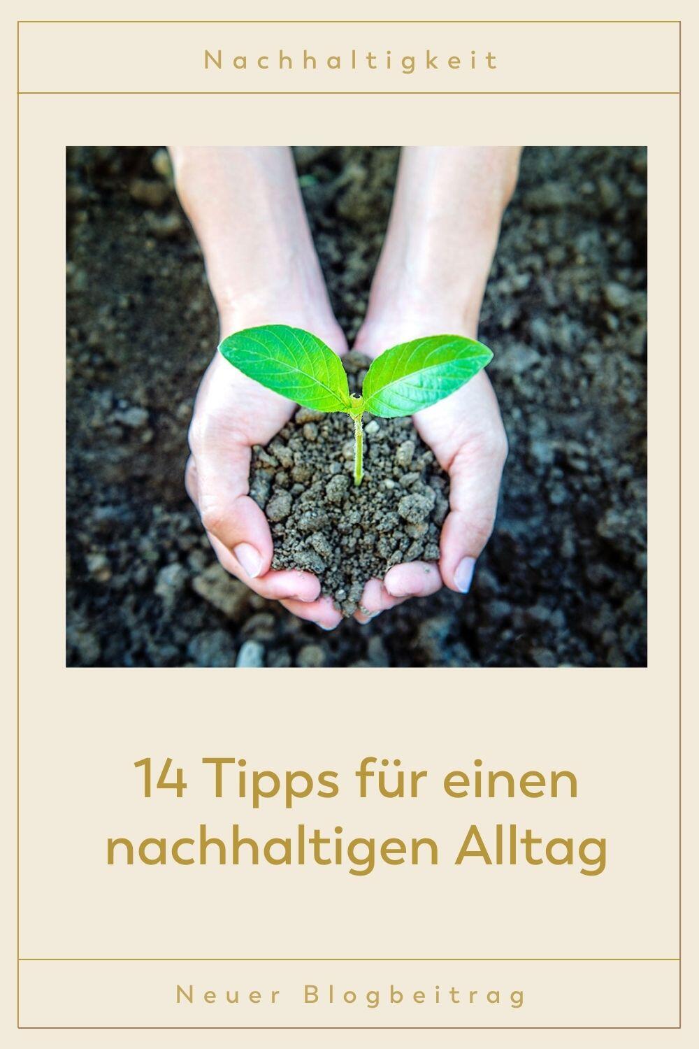 Jemand hält Erde in den Händen. Aus der Erde wächst eine grüne Pflanze.