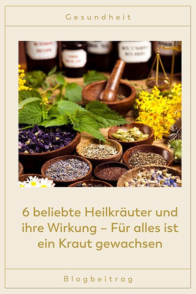 6 beliebte Heilkräuter und ihre Wirkung – Für alles ist ein Kraut gewachsen Viele Schüsseln sind mit verschiedenen Heilkräutern gefüllt