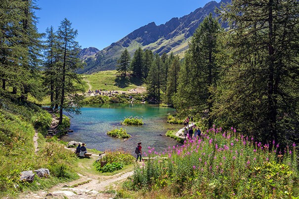 Natur In einem Wald ist ein wunderschöner klarer See