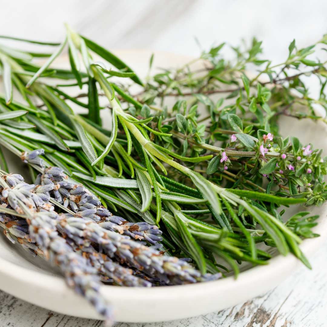 Frische Kräuter und Blüten zum Räuchern in einer Schale liegen frische Kräuter, wie Rosmarin, Lavendel und Oregano